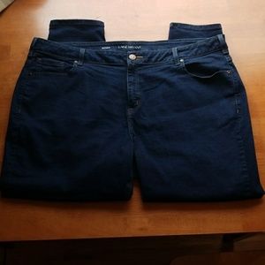 Lane Bryant Skinny Jeans 24 Short